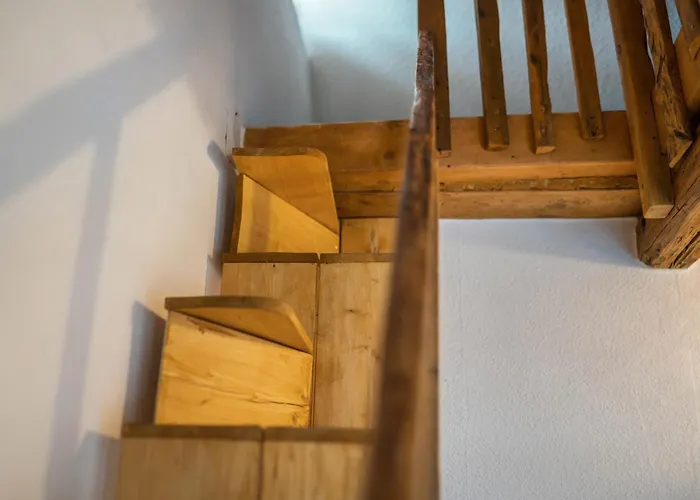 Apartamento Im Harzer Vogelnest Finkennest