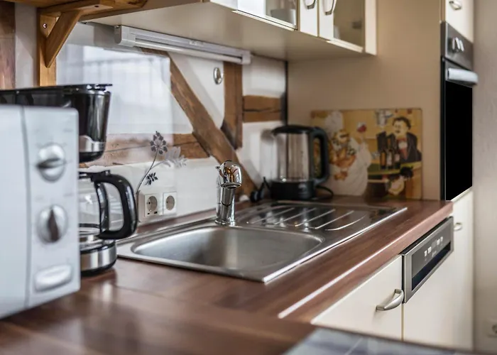 Im Harzer Vogelnest Finkennest Bad Harzburg